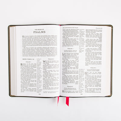 KJV Deluxe Reference Bible - Giant Print - Cross References - Red Letter - Deluxe Leathersoft - Black