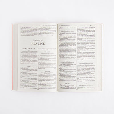 KJV Holy Bible - Gift and Award Bible - Red Letter - Leather Look - Pink