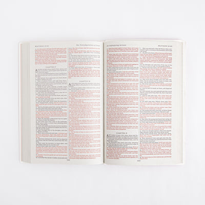 KJV Holy Bible - Gift and Award Bible - Red Letter - Leather Look - Pink