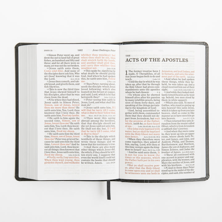 KJV Personal Size Reference Bible - Large Print - Charcoal