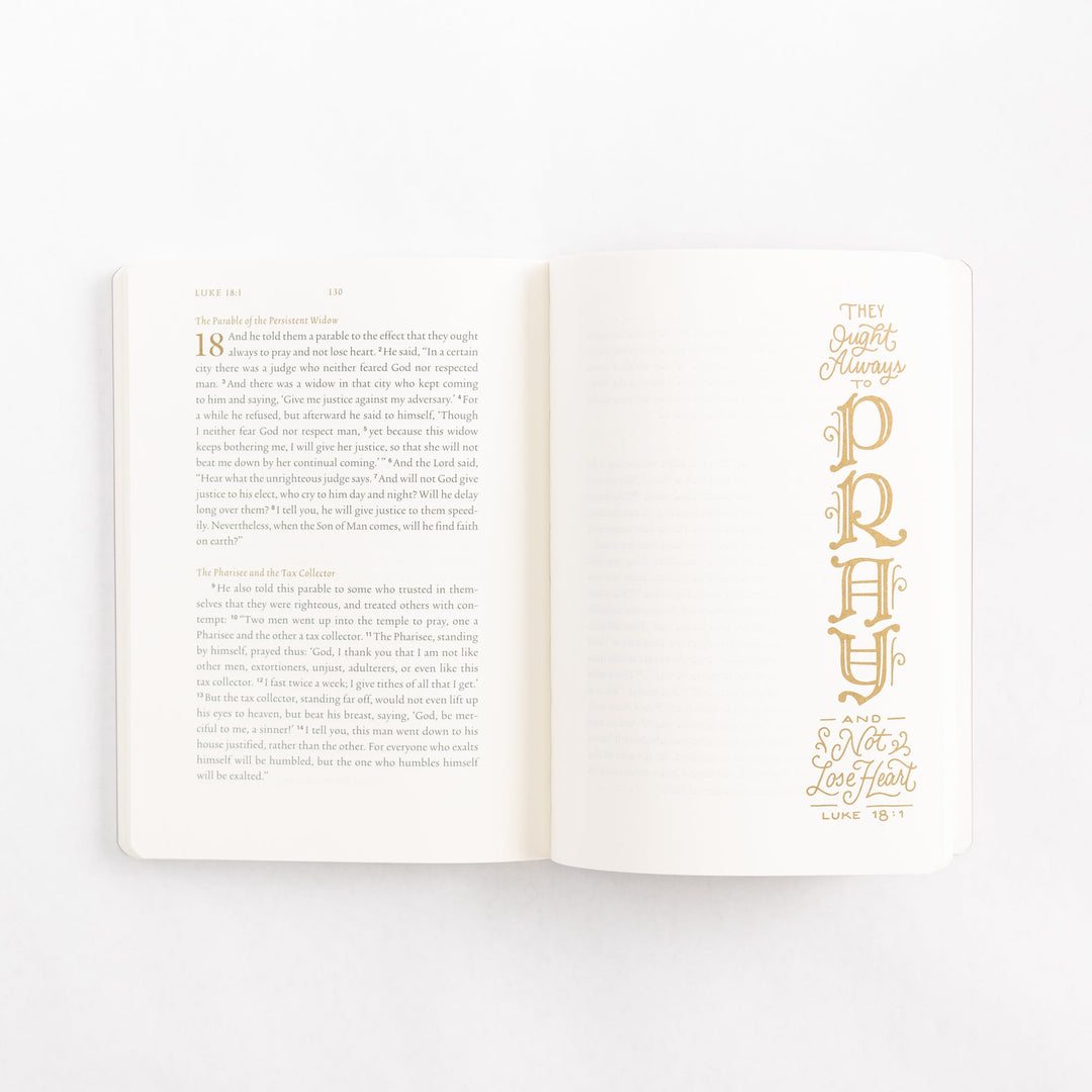 ESV Illuminated Scripture Journal: Luke