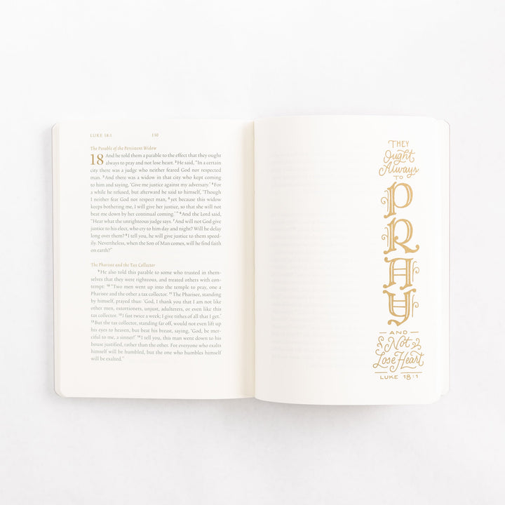 ESV Illuminated Scripture Journal: Luke