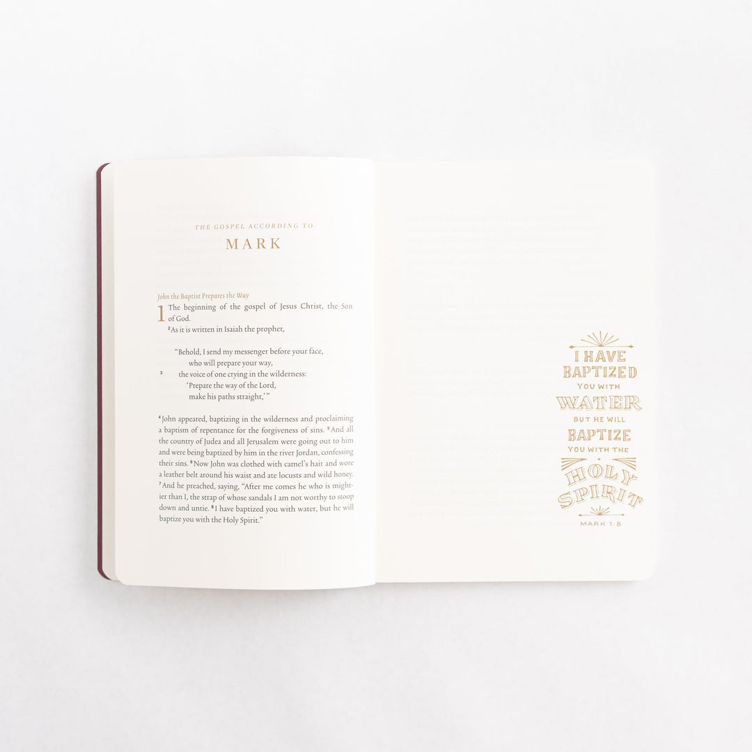 ESV Illuminated Scripture Journal: Gospels Set
