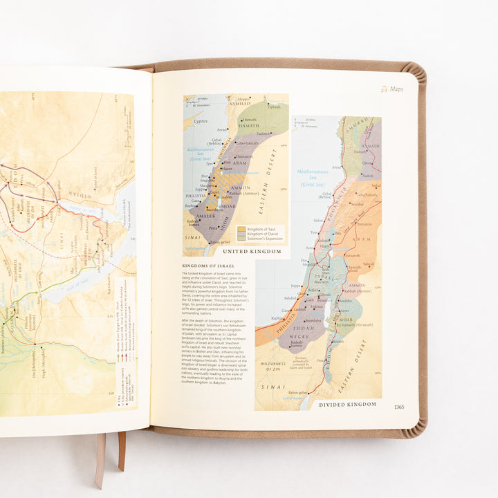 NLT Notetaking Bible - Leather Like - Marlo Theme