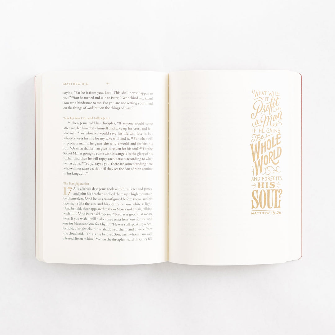 ESV Illuminated Scripture Journal: Matthew