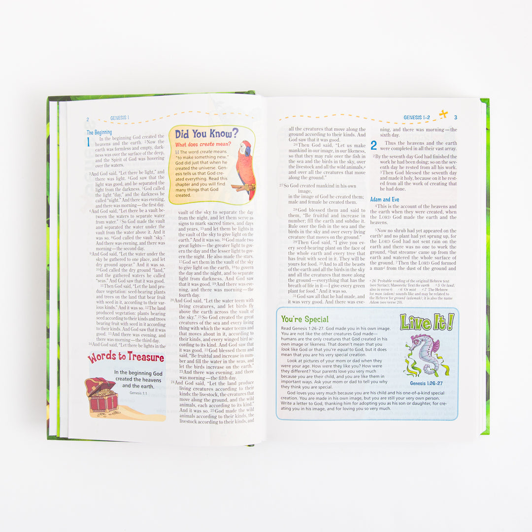 NIV Adventure Bible - Hardcover - Full Color