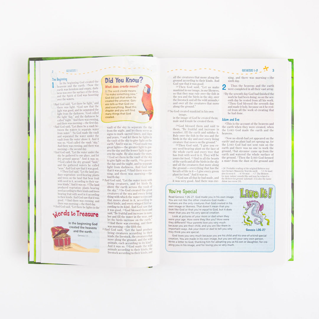 NIV Adventure Bible - Hardcover - Full Color