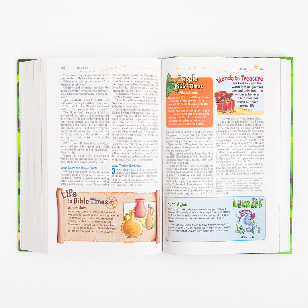 NIV Adventure Bible - Hardcover - Full Color