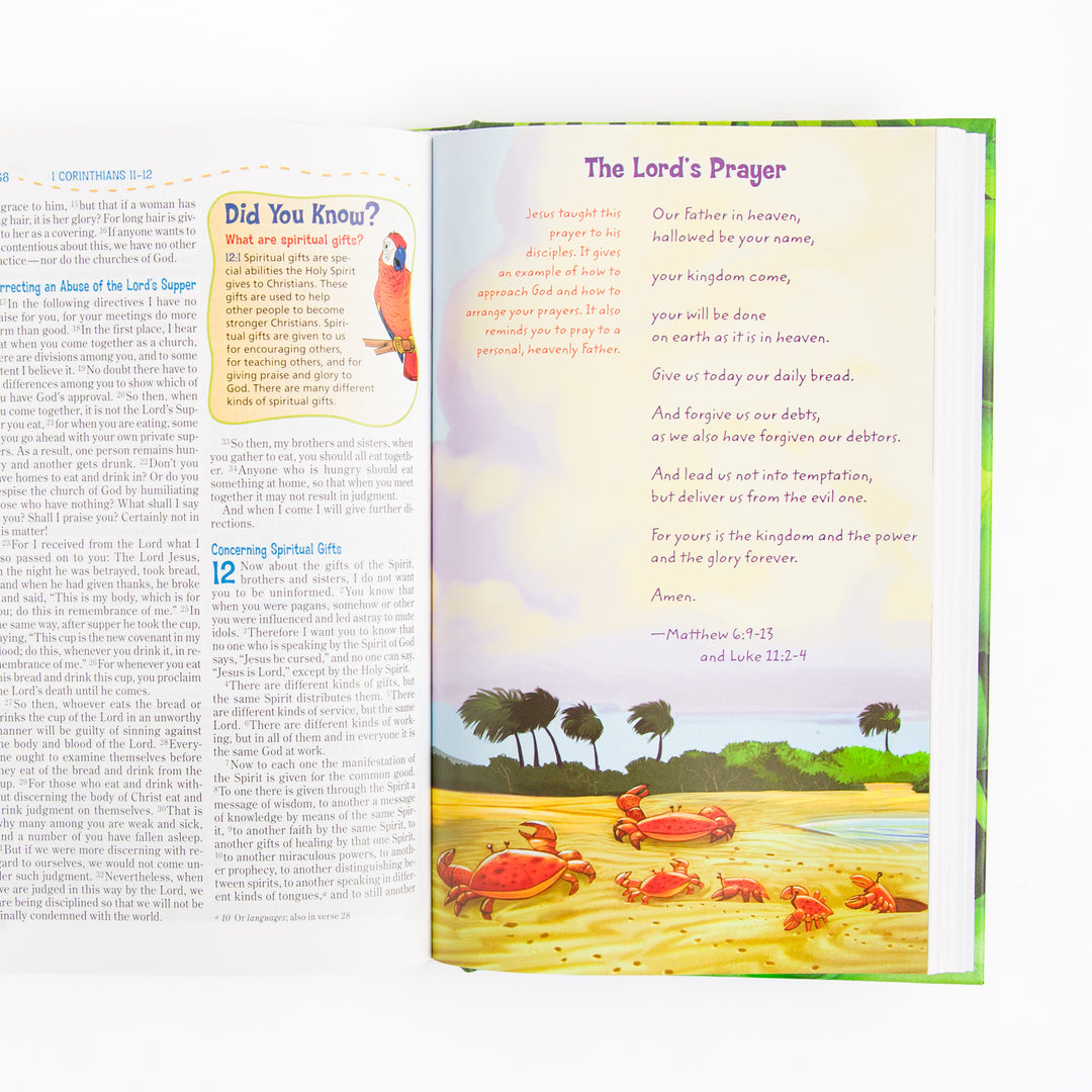 NIV Adventure Bible - Hardcover - Full Color