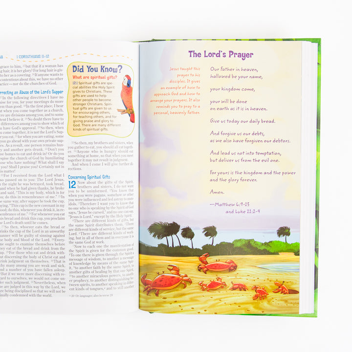 NIV Adventure Bible - Hardcover - Full Color