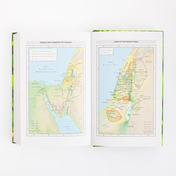 NIV Adventure Bible - Hardcover - Full Color