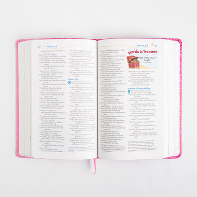 NIV Adventure Bible - Leathersoft - Pink - Full Color
