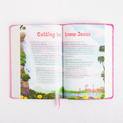 NIV Adventure Bible - Leathersoft - Pink - Full Color