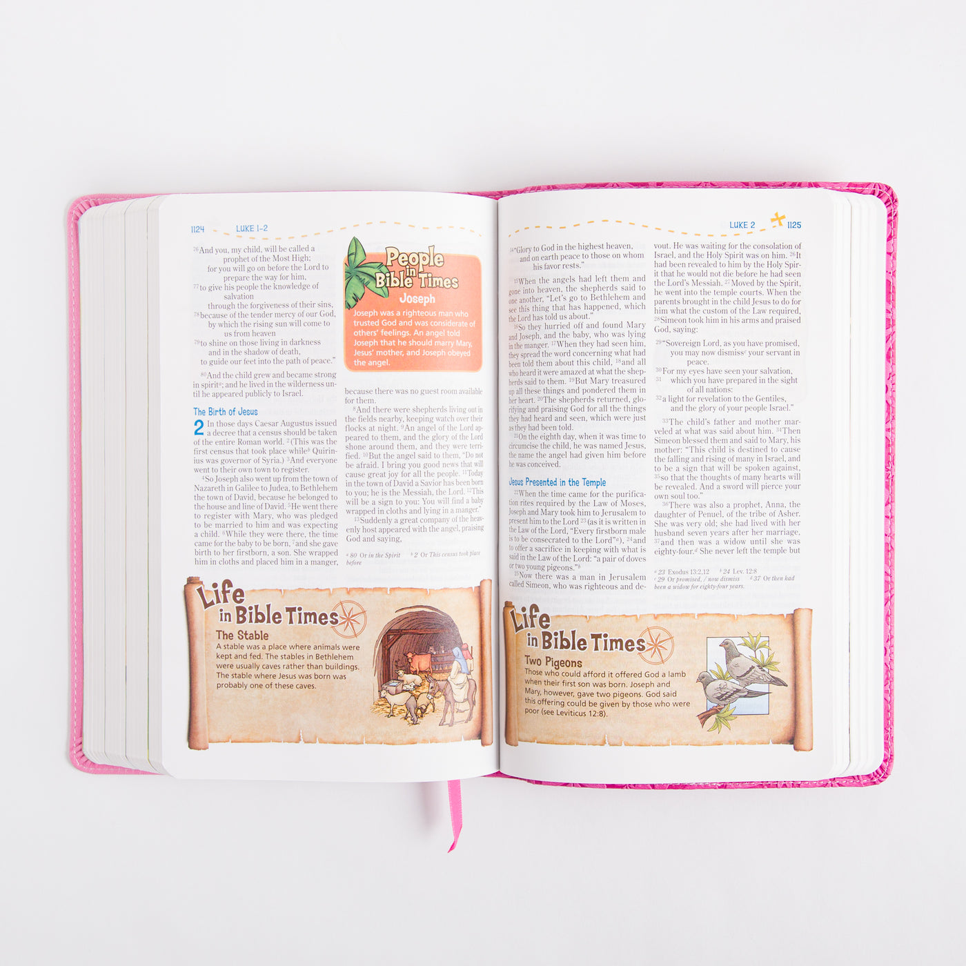 NIV Adventure Bible - Leathersoft - Pink - Full Color