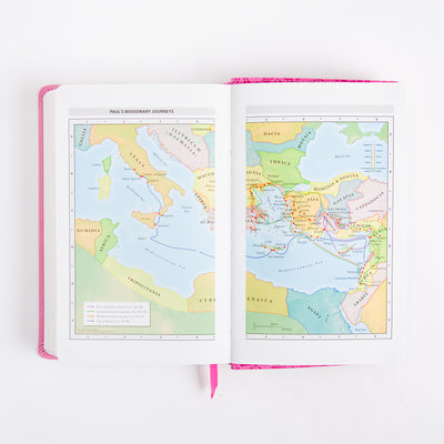 NIV Adventure Bible - Leathersoft - Pink - Full Color