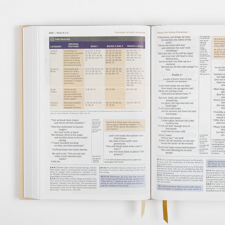 NIV Application Bible open to Psalm 2–3, showing a chart classifying the Psalms by category across the five books