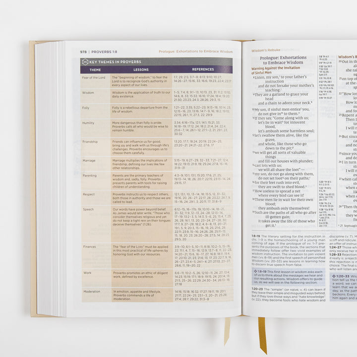 NIV Application Bible open to Proverbs 1, showing a chart of key themes in Proverbs with lessons and Scripture references