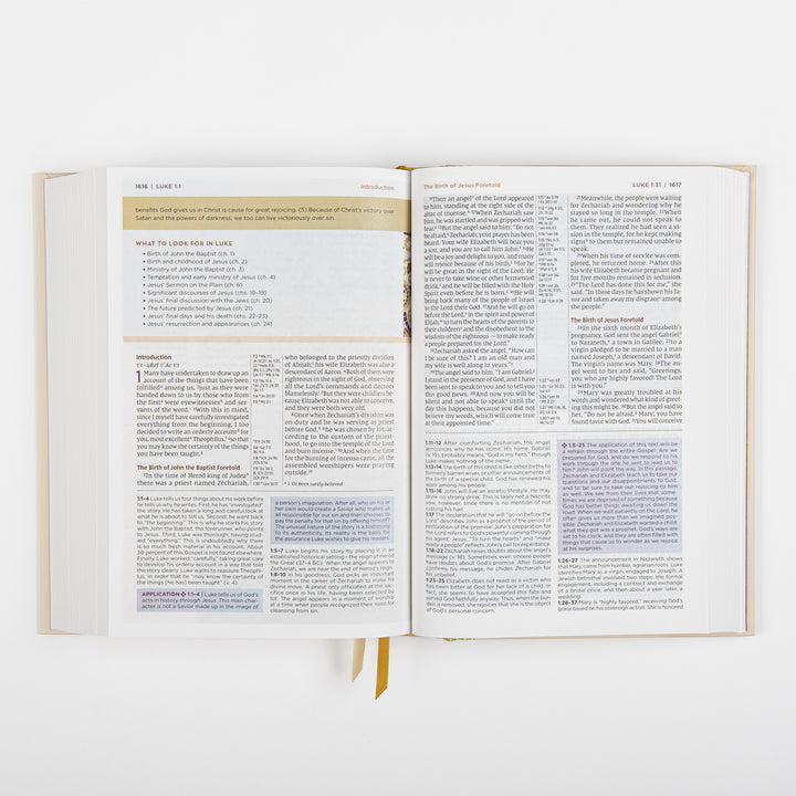 NIV Application Bible open to Luke 1, showing a &
