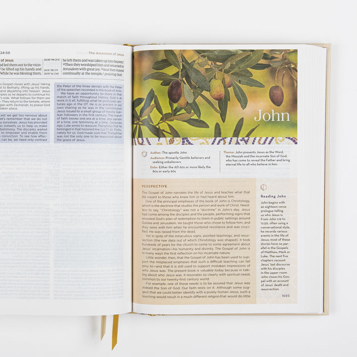 NIV Application Bible open to the introduction to John, showing a photo of olive branches alongside the book&