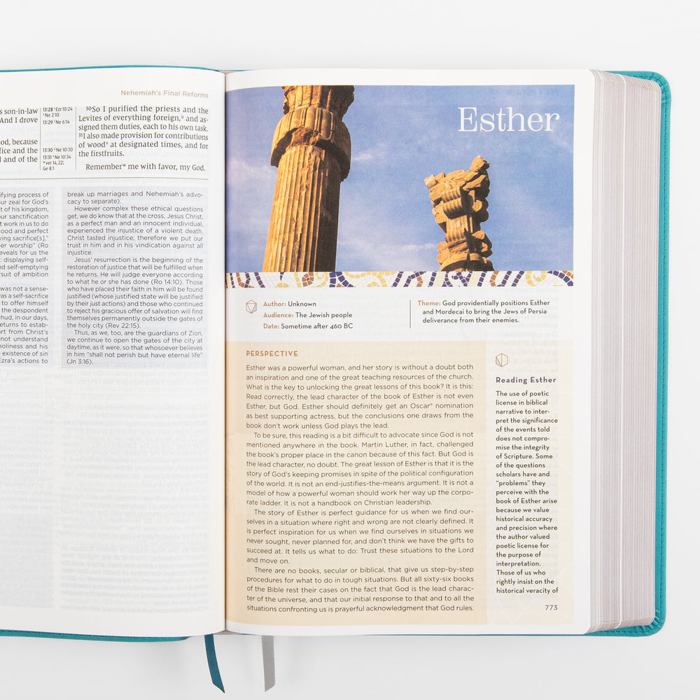 NIV Application Bible, Large Print leathersoft edition, open to the introduction to Esther, showing a photo of ancient Persian columns alongside the book's author, date, and theme