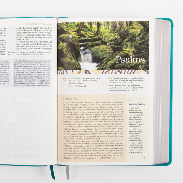 NIV Application Bible, Large Print leathersoft edition, open to the introduction to Psalms, showing a forest waterfall photo alongside the book&