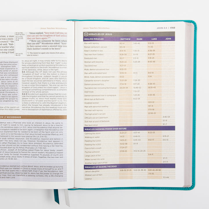 NIV Application Bible, Large Print leathersoft edition, open to John 3, showing a &