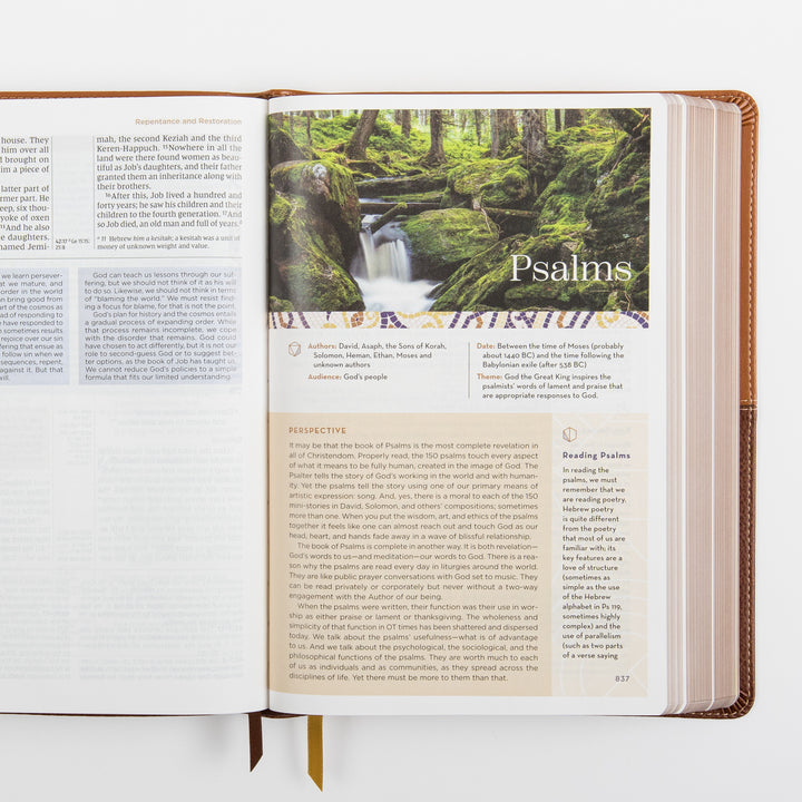 NIV Application Bible, leathersoft edition, open to the introduction to Psalms, showing a forest waterfall photo alongside the book&