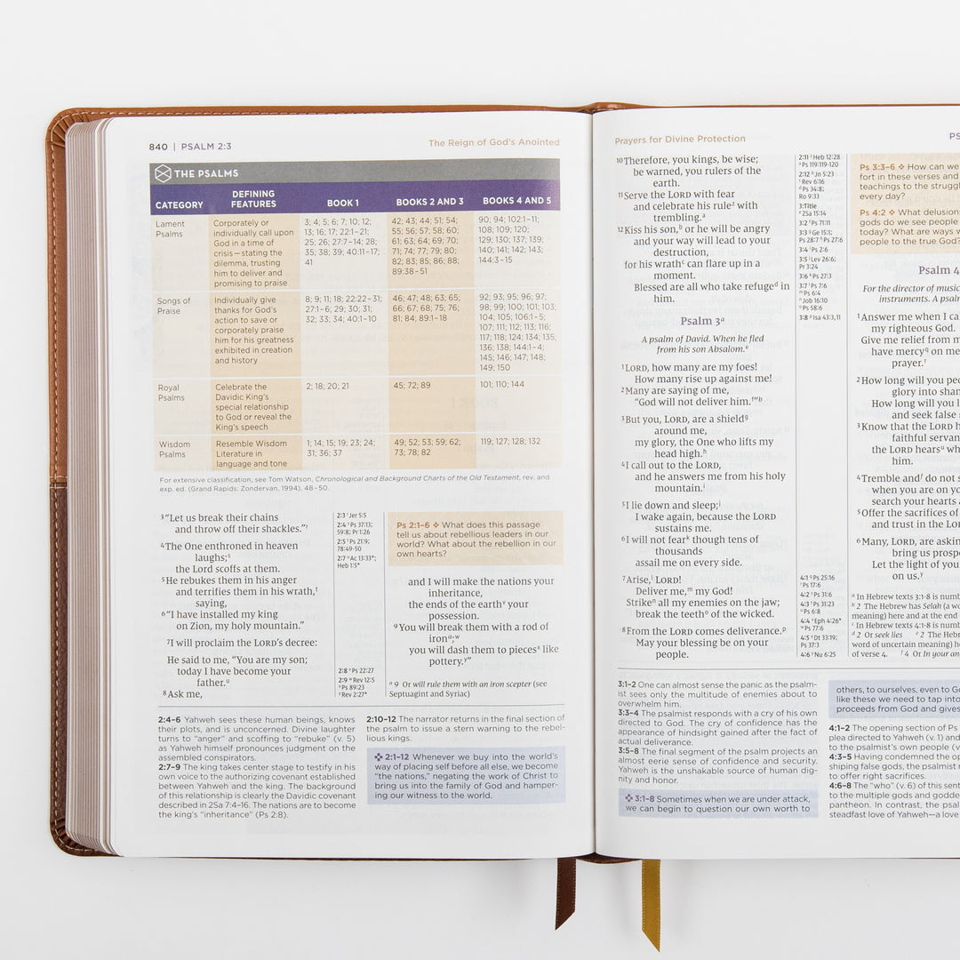 NIV Application Bible, leathersoft edition, open to Psalm 2–4, showing a chart classifying the Psalms by category across the five books