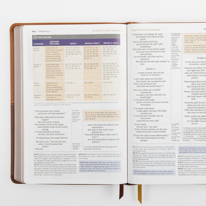 NIV Application Bible, leathersoft edition, open to Psalm 2–4, showing a chart classifying the Psalms by category across the five books