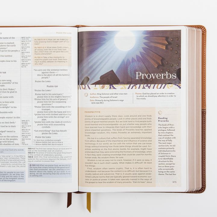 NIV Application Bible, leathersoft edition, open to the introduction to Proverbs, showing an illustrated sunrise graphic alongside the book&