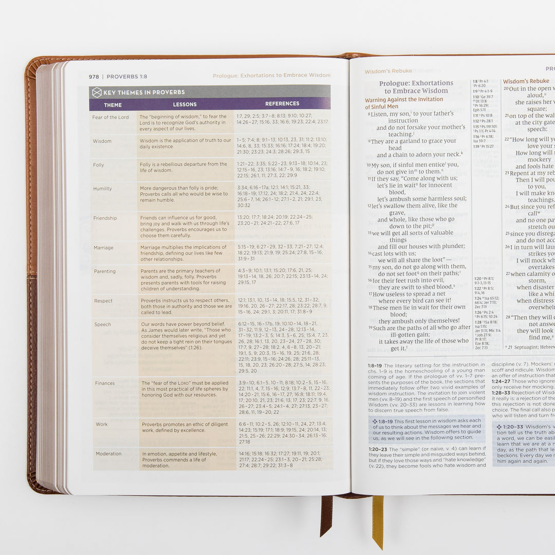 NIV Application Bible, leathersoft edition, open to Proverbs 1, showing a chart of key themes in Proverbs with lessons and Scripture references