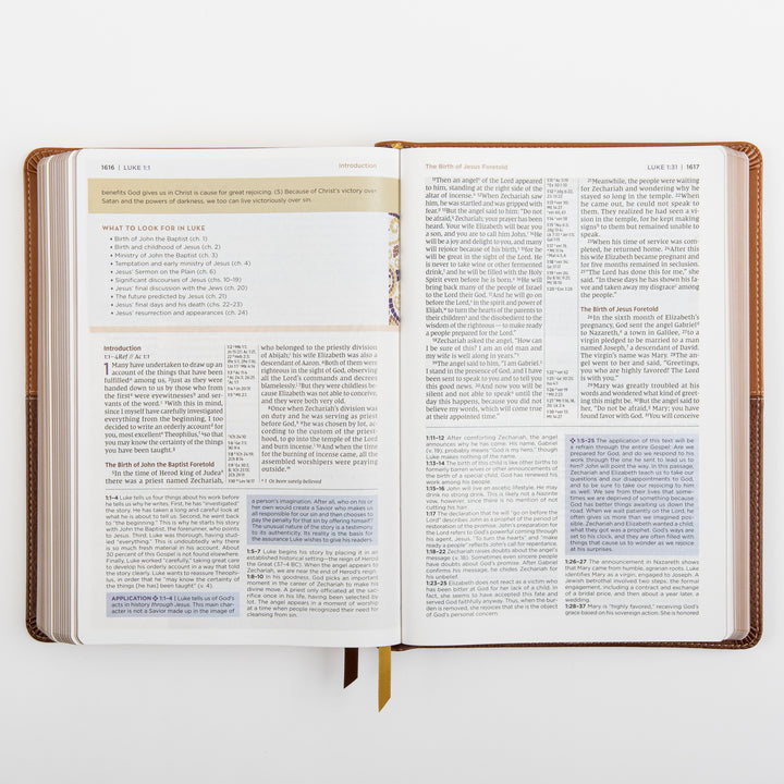 NIV Application Bible, leathersoft edition, open to Luke 1, showing a &