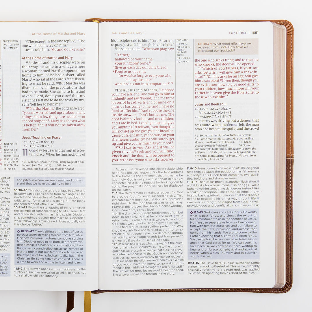NIV Application Bible, leathersoft edition, open to Luke 11, showing Jesus&