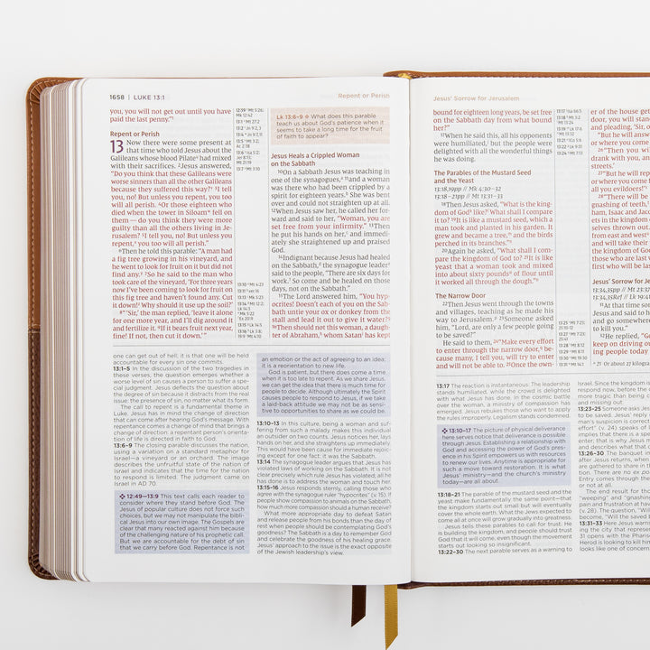 NIV Application Bible, leathersoft edition, open to Luke 13, showing the healing of a crippled woman and the parables of the mustard seed and yeast