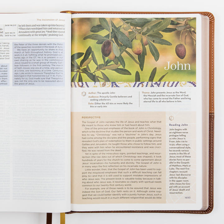 NIV Application Bible, leathersoft edition, open to the introduction to John, showing a photo of olive branches alongside the book&