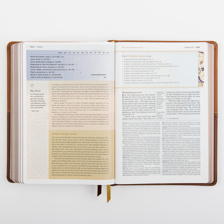 NIV Application Bible, leathersoft edition, open to John 1, showing a timeline of Christ&