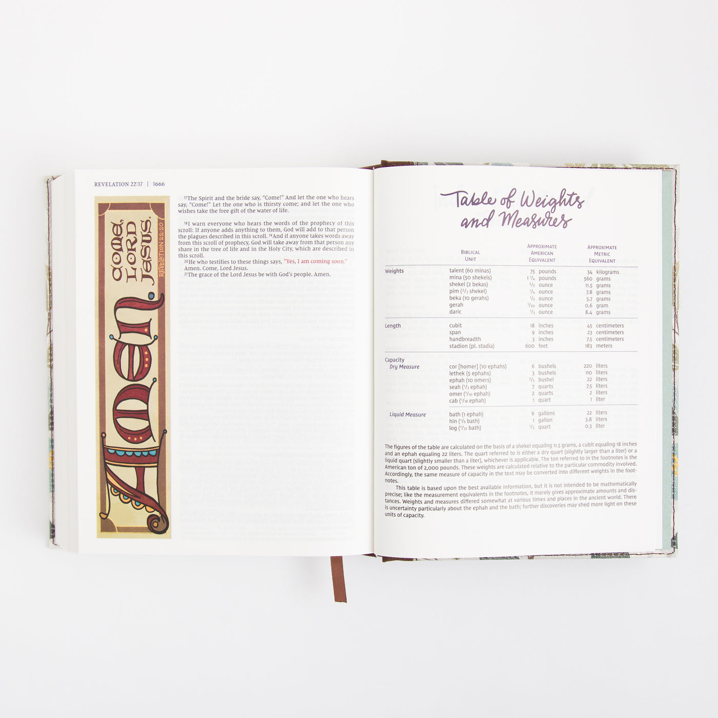 NIV Beautiful Word Bible for Women - Peel Stick Bible Tabs - Red Letter - Comfort Print