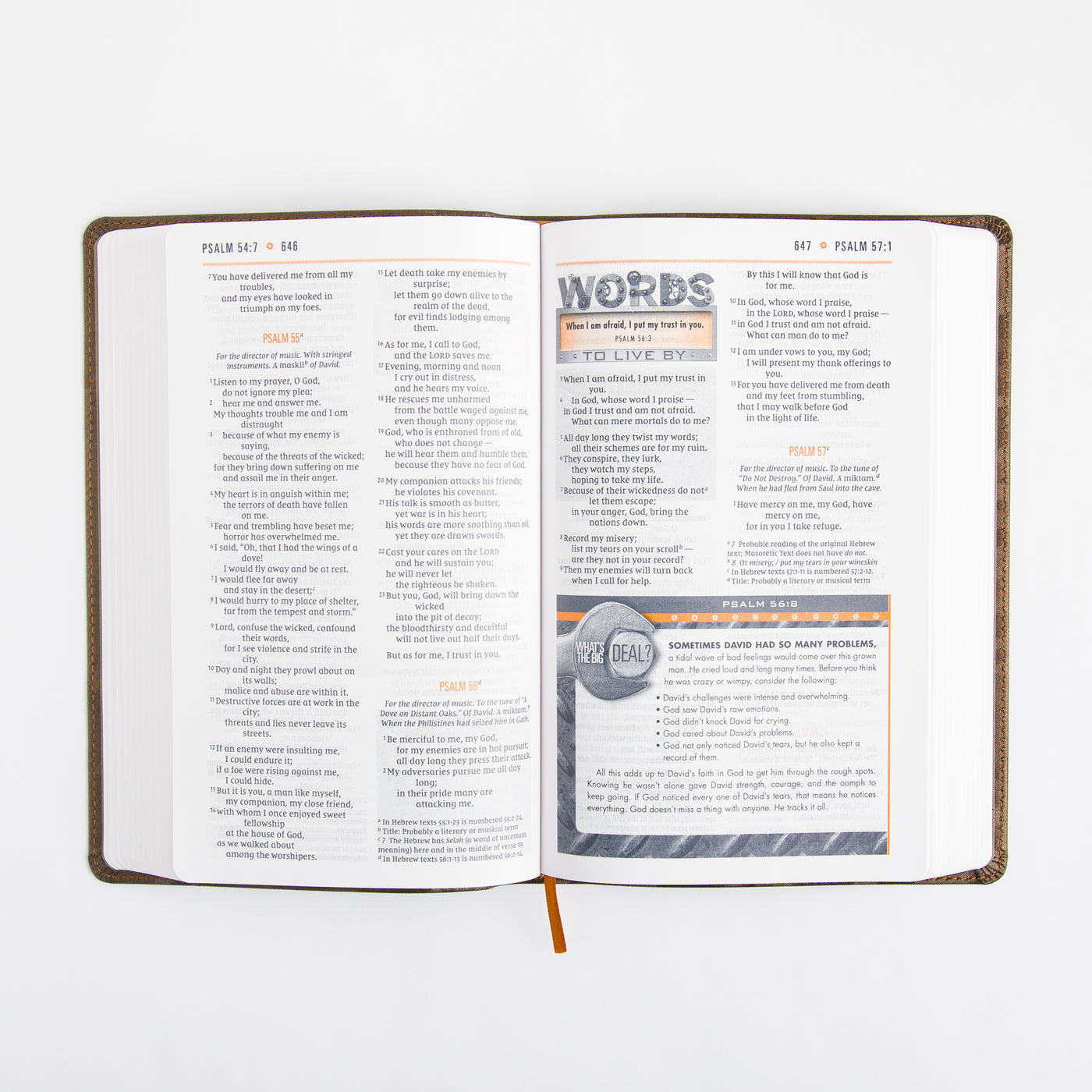 NIV Boys Bible - Leathersoft - Brown Camo - Comfort Print