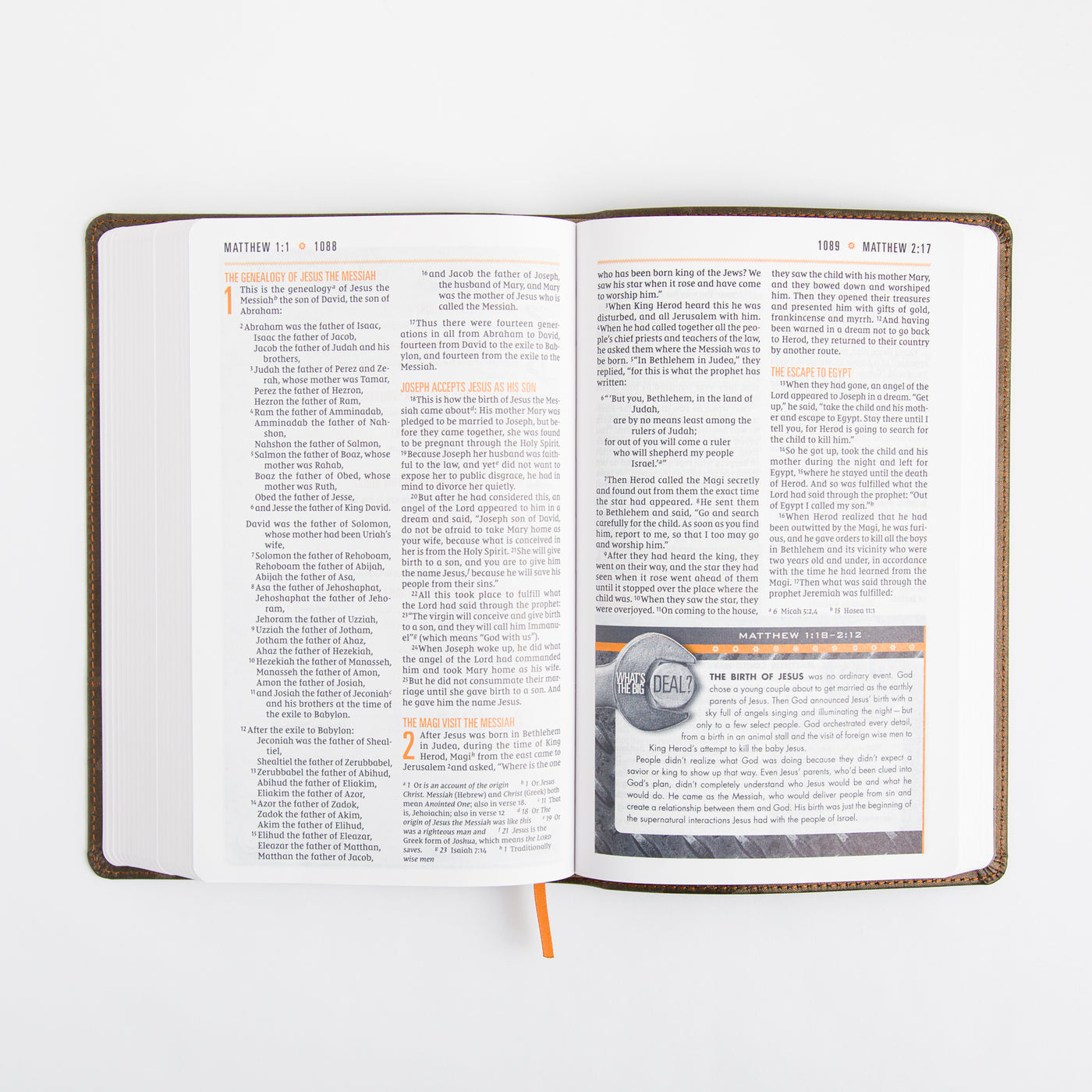 NIV Boys Bible - Leathersoft - Brown Camo - Comfort Print