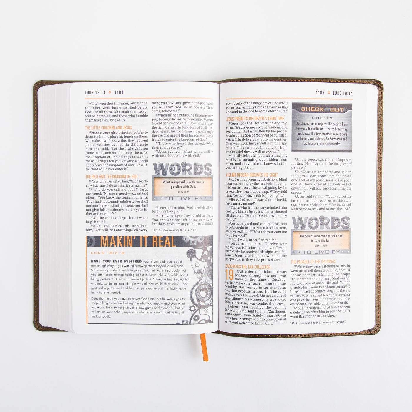 NIV Boys Bible - Leathersoft - Brown Camo - Comfort Print