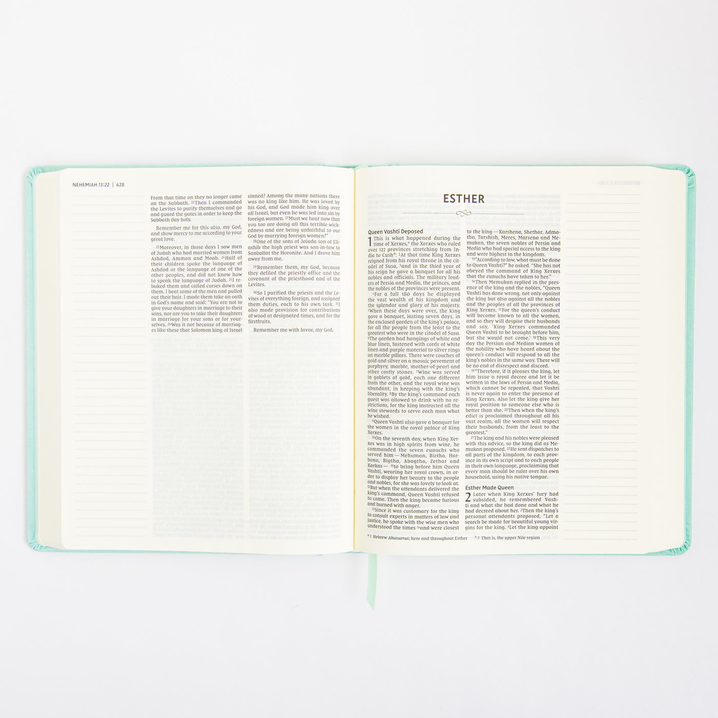 NIV Journal the Word Bible - Double Column - Red Letter - Teal