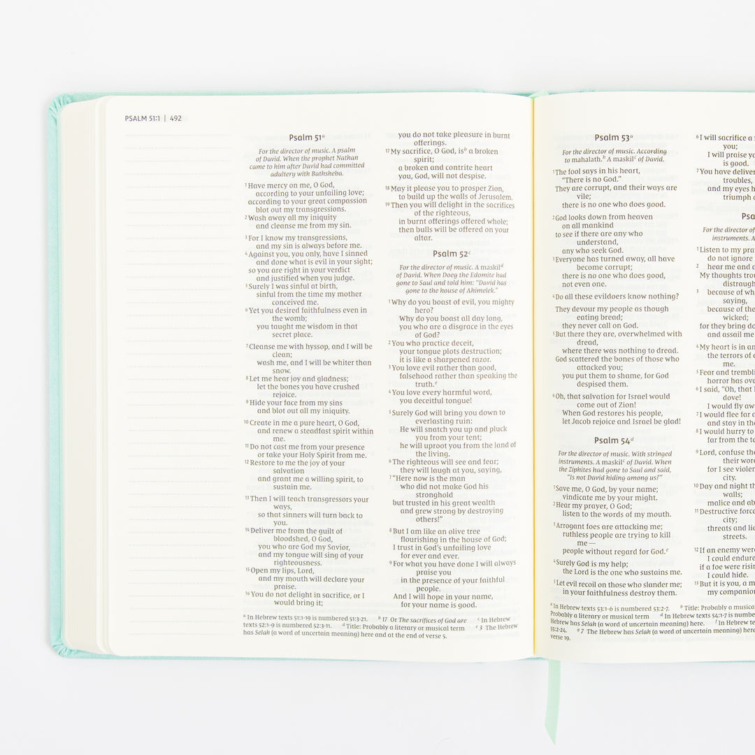 NIV Journal the Word Bible - Double Column - Red Letter - Teal