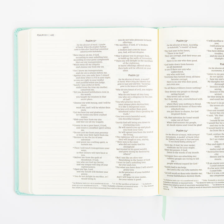 NIV Journal the Word Bible - Double Column - Red Letter - Teal