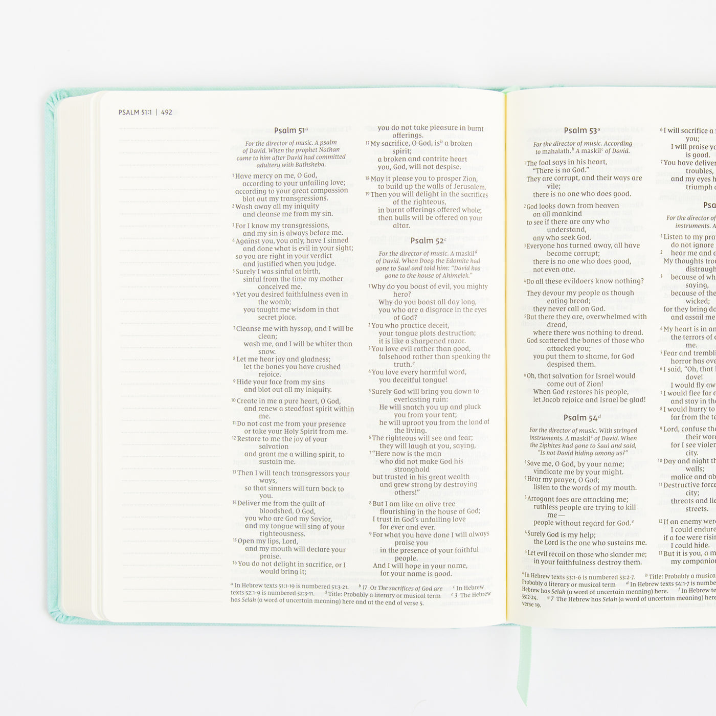 NIV Journal the Word Bible - Double Column - Red Letter - Teal