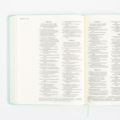 NIV Journal the Word Bible - Double Column - Red Letter - Teal