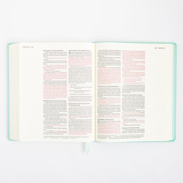 NIV Journal the Word Bible - Double Column - Red Letter - Teal