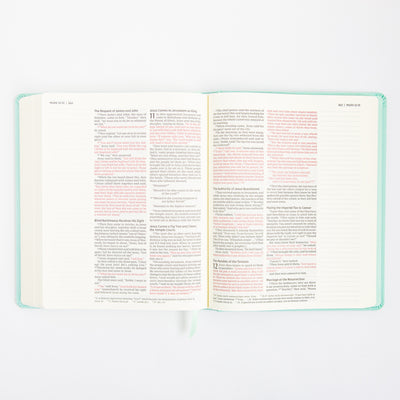 NIV Journal the Word Bible - Double Column - Red Letter - Teal