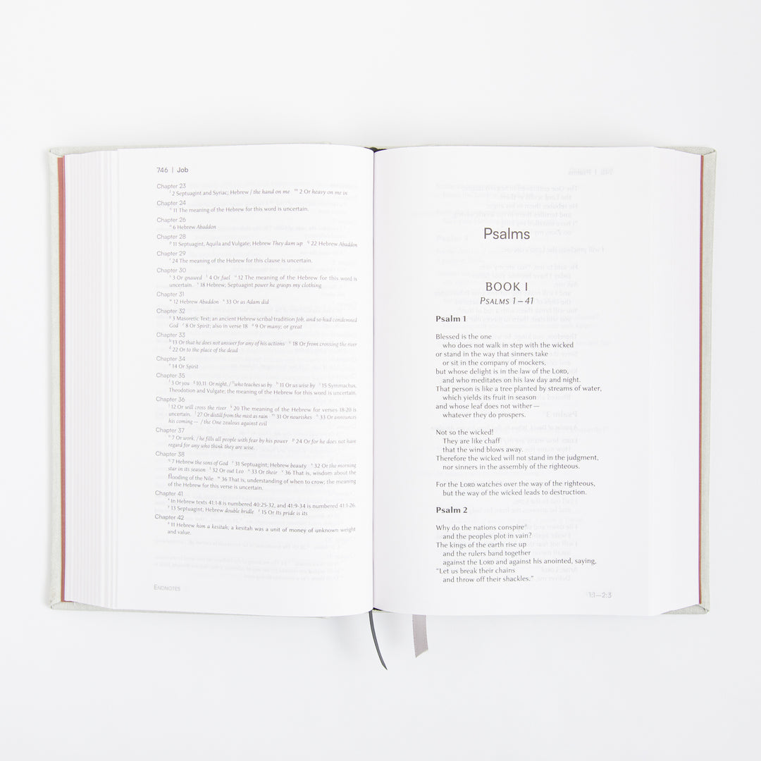 NIV Lectio Bible - A simple ancient way to read the library of Scripture - Cloth over board - Lunar White