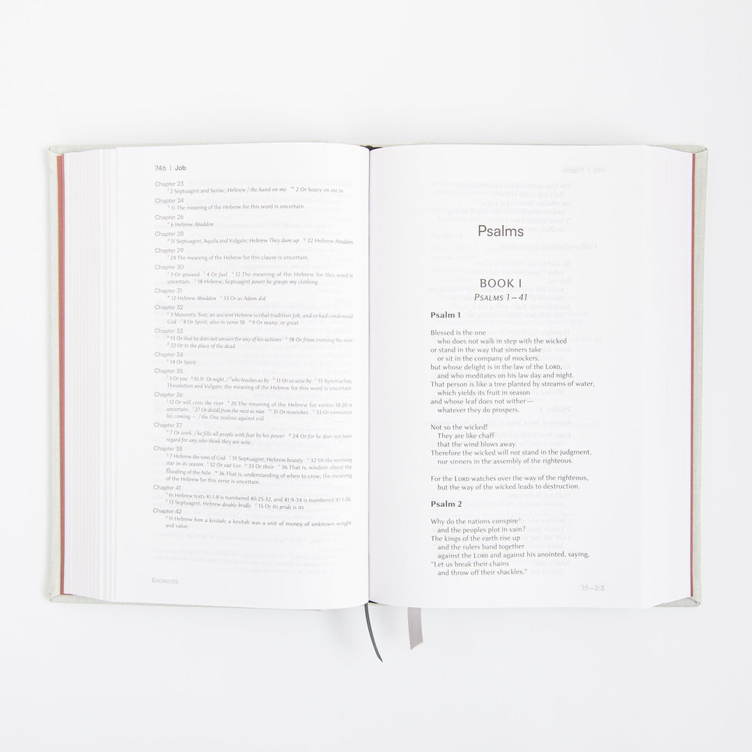 NIV Lectio Bible - A simple ancient way to read the library of Scripture - Cloth over board - Lunar White