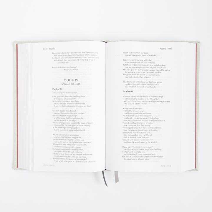 NIV Lectio Bible - A simple ancient way to read the library of Scripture - Cloth over board - Lunar White